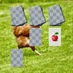 Chicken Memory Match