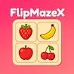 FlipMazeX