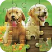 Jigsaw Puzzle