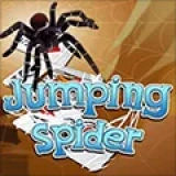 Jumping Spider