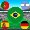 World Cup Flag Match